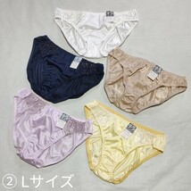 ②新品タグ付 Lサイズ ショーツ パンティ 5枚セット 女性用下着 サテン生地 トリコットショーツ フルバックショーツ 艶々生地_画像1