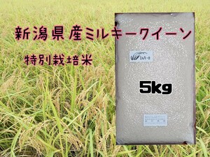  специальный культивирование рис Niigata префектура производство Milky Queen 5k