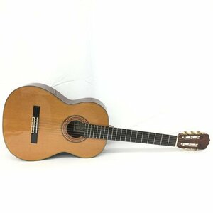 KODAIRA. большой . акустическая гитара AST50L художник модель .CEAL2022.※ оплата доставки при получении .※