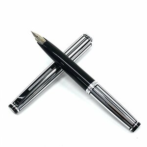 PLATINUM platinum fountain pen pen .K18WG small character [CEAM6013]