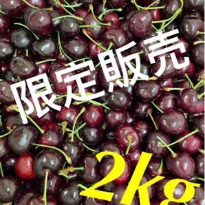 週末限定価格　アメリカンチェリー　チェリー　さくらんぼ　2kg 新鮮チェリー カリフォルニア産 さくらんぼ