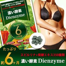 新品正規品 未使用 工場直送 １円スタート 濃い酵素Dienzyme 350種類以上の野菜酵素に話題のスーパー酵素「ダイジェザイム」贅沢配合。_画像1