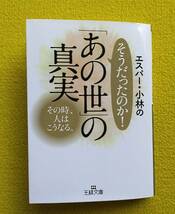 ★《あの世の真実》見えない世界の謎と不思議にせまる本です_画像1