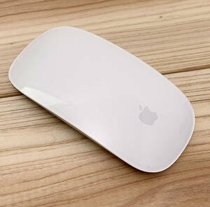 【動作品・極美品】APPLE Magic Mouse 2 