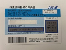 ◆大黒屋◆ ANA株主優待券 1枚 番号通知対応のみ 期限2024/5/31迄　_画像1