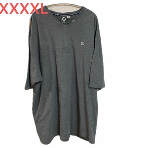 【US古着】グレー 4XL Tシャツ 半袖 レギュラー プリント メンズ レディース 大きいサイズ オーバーサイズ