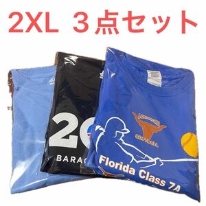 【US古着】3点セット 2XL Tシャツ 半袖 プリント メンズ レディース 大きいサイズ まとめ売り セット売り