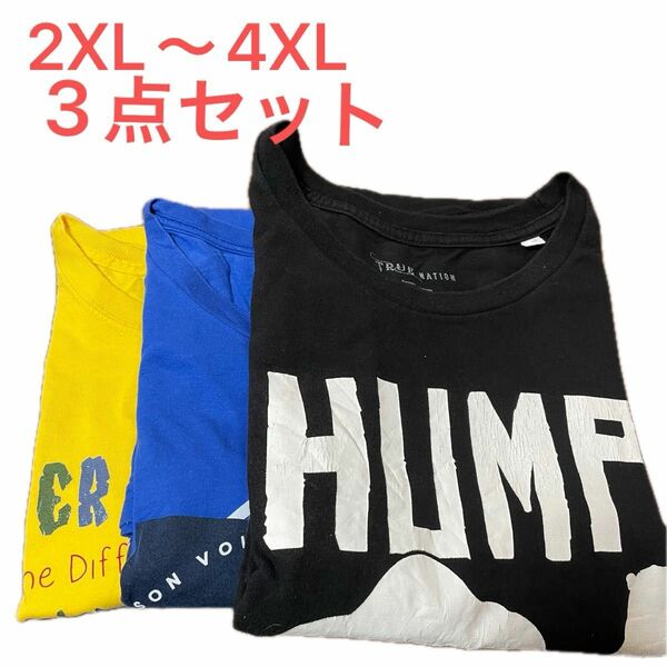 【US古着】3点セット 2XL〜4XL Tシャツ 半袖 プリント メンズ レディース 大きいサイズ まとめ売り セット売り