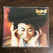 E506-1 中古CD100円 bird SOULS_画像1