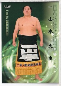 【2024BBM大相撲カード 響】 レギュラーカード #30 一山本 大生 前頭
