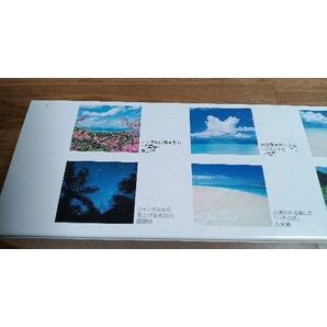 JTA 美ら島物語 2024年 カレンダー 壁掛け 沖縄 風景の画像4