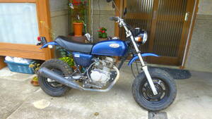  Honda Ape 50.