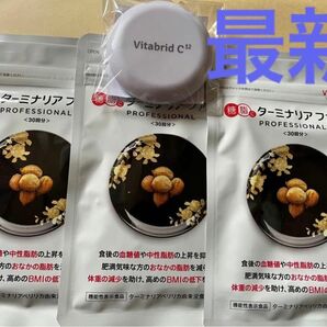 (機能性表示食品)糖脂にターミナリアファースト4、プロフェッショナル