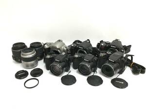 ☆ Nikon デジタルカメラ まとめ 1 ☆ Nikon D60 + 40 ×2 + COOLPIX P100 26x + L110 15x ×2 他 レンズ３本 ニコン