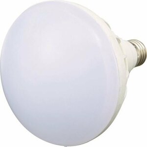 トラスコ中山 LED投光器用 20W LED球 RTL-20W (61-2951-84)