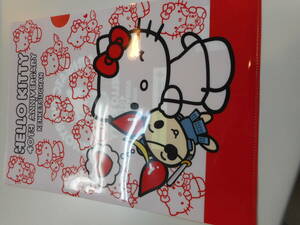  new goods Kitty Chan .... Chan Kitty Sanrio clear file file .. goods Miyagi prefecture limitation postage 140 jpy 