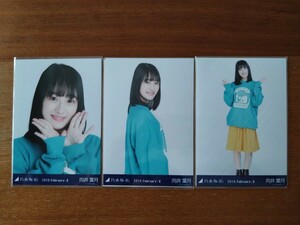 乃木坂46 向井葉月 会場限定生写真 2019.February-Ⅱ ビッグスウェット 3枚コンプ