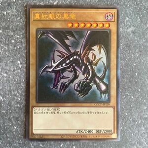 遊戯王 真紅眼の黒竜 レッドアイズブラックドラゴン アジア版 レリーフ