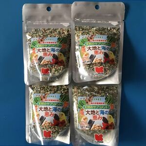  black . pet food large ground . sea. ..4 piece set parakeet small bird general small bird great popularity 