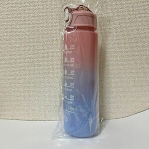 水筒 24時間以内発送