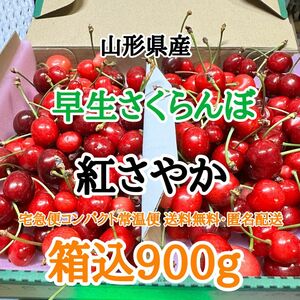 10【コンパクト】山形県産 さくらんぼ 紅さやか 箱込900gサイズ混合 訳あり さくらんぼ