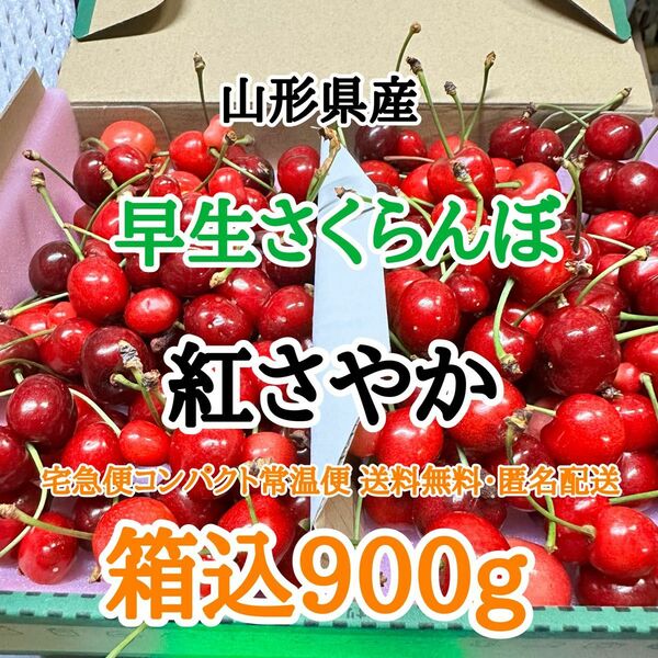 14【コンパクト】山形県産 さくらんぼ 紅さやか 箱込900gサイズ混合 訳あり さくらんぼ