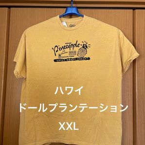 5月購入　ハワイ　Dole Plantation 半袖　Tシャツ　XXL