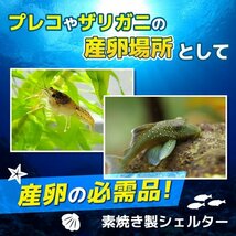 産卵 筒 3個 セット シェルター 熱帯魚 アクアリウム 隠れ家 土管 洞窟 水槽 装飾 飾り カマボコ 魚 稚魚 プレコ ザリガニ エビ K1-_画像3