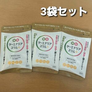 匿名配送無料 ターミナリアスリム+ 120粒　機能性表示食品 新品未開封 3袋