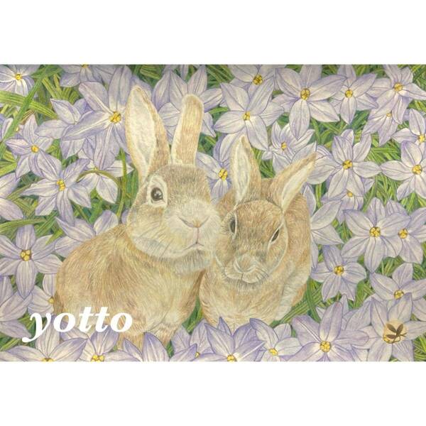 色鉛筆画「 兎・うさぎ 」Ａ４・額付き◇◆手描き◇原画◆兎◇◆yotto