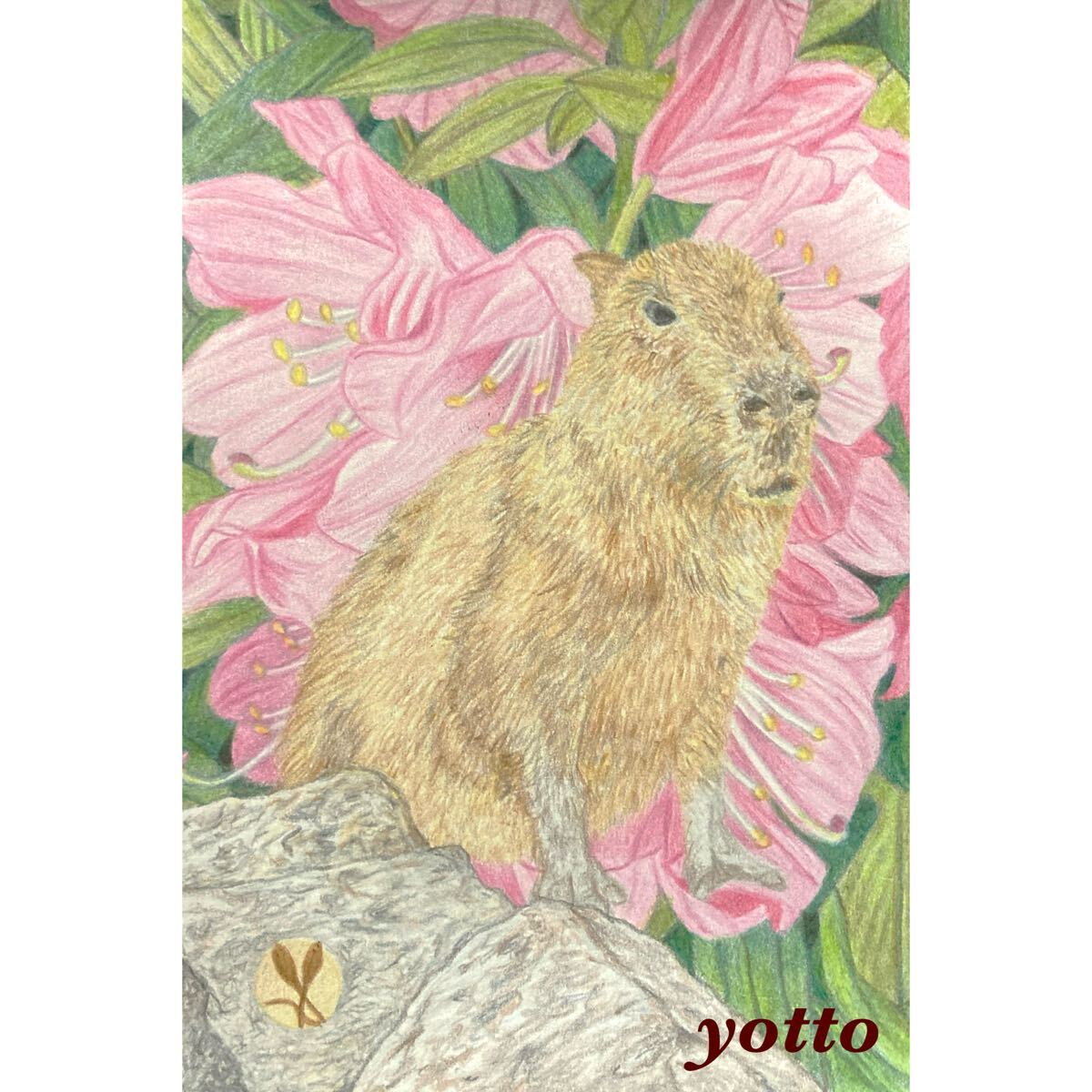 Colored pencil drawing Capybara ~ Hana ~ Postcard size, frame included ◇◆Hand-drawn◇Original◆Capybara◇◆yotto, Artwork, Painting, Pencil drawing, Charcoal drawing