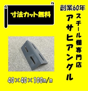 L型アングル/Lアングル/カラーアングル/穴あきL型アングル/L字型アングル/鉄/40型/グレー色/40×40×100①