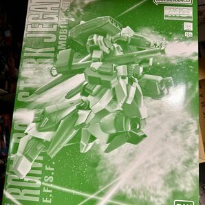 1/100 MG RGM-89S スタークジェガン プレミアムバンダイ限定