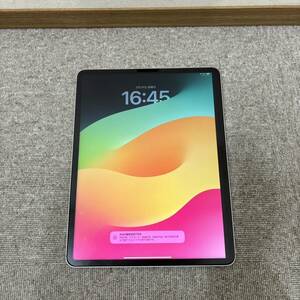 【MYT-4226】 Apple アップル iPad Pro 12.9インチ 第5世代 Wi-Fi+Cellular 256GB MHR73J/A docomo 利用制限－ silver タブレット 写真参照