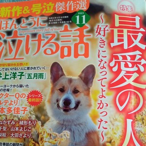 ほんとうに泣ける話2023年11月号ぶんか社福田素子　長広洋子　あまねかずみ　山本よしこ　緒方もりレディースコミック