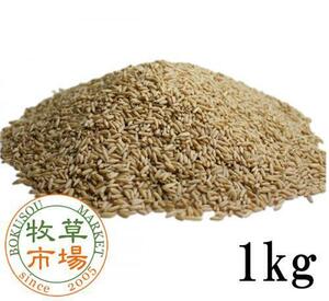 牧草市場 えん麦 1kg （殻なし）