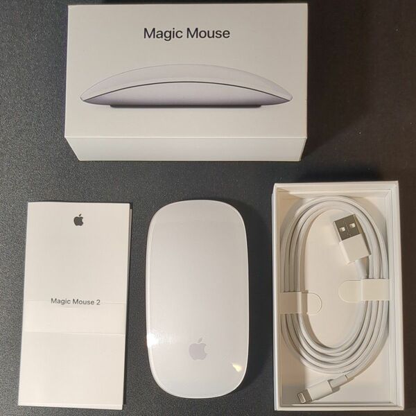 箱あり Apple Magic Mouse 2 マジックマウス ホワイト