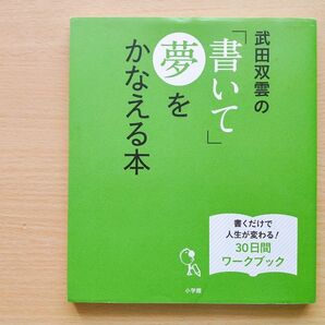 武田双雲の「書いて」夢をかなえる本
