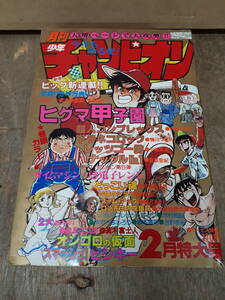 ■C084　月刊　少年チャンピオン 1980年　2月　特大号　秋田書店　中古