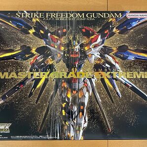 新品 MGEX ストライクフリーダムガンダム ZGMF-X20A 機動戦士ガンダム SEED DESTINY freedom