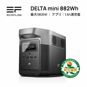  profit goods EcoFlow Manufacturers direct sale portable power supply DELTA Mini 882Wh with guarantee battery disaster prevention supplies sudden speed charge camp sleeping area in the vehicle eko flow 