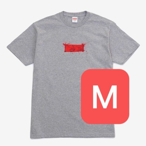 Supreme Ralph Steadman Box Logo Tee "Grey"