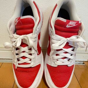 NIKE スニーカー ナイキ DUNK LOW