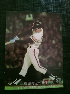  Calbee Professional Baseball card . rice field 