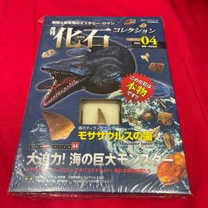 複　Y501. 3. 未開封 化石付き 月刊化石コレクション NO.04地球と古生物のミステリー・ロマン　保管品　シュリンク付き　