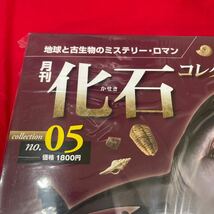 複　Y501. 4. 未開封 化石付き 月刊化石コレクション NO.05 地球と古生物のミステリー・ロマン　保管品　シュリンク付き　_画像3