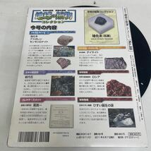 複　Y514. 34. デアゴスティーニ 『地球の鉱物コレクション』88巻. 珪化木　保管品　シュリンク付き　(多少破れ箱歪みあり)_画像4