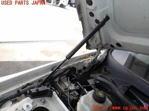 2UPJ-12831068]BMW 335i カブリオレ(WL35)(E93)ボンネットダンパー 中古