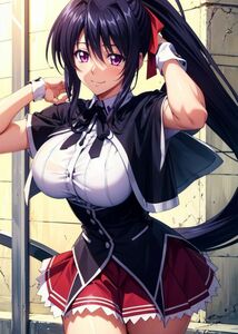 【高画質】A4サイズ イラストポスター ブロマイド681　姫島朱乃 High School DxD　ハイスクールD×D