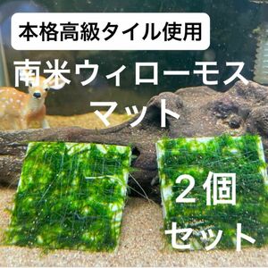 【特別価格！美しい緑の絨毯】高級本格タイル使用ウィローモスマット×2個